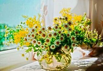 Lovely And Beautiful Good Morning Wallpaper Allfreshwallpaper