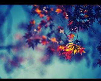 Nine 3d Wallpaper Of HD Photos