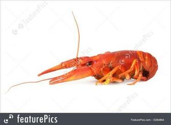 One Boiled Crawfish Image