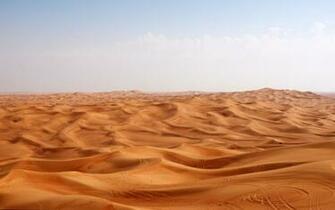 Sand Dune Wallpaper
