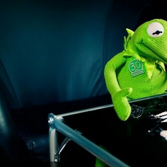 Frog Cocaine Wallpaper