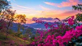 Spring Season HD Desktop Wallpaper