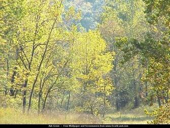 Wallpaper Mellow Out Your Monitor Scenic One