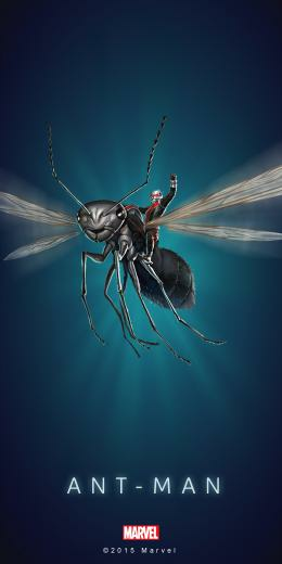 Ant Man Wallpaper A Hi Res Version Here