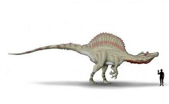 Spinosaurus Wallpaper