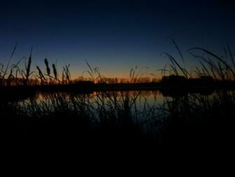 Desktop HD Waterfowl Hunting Wallpaper 3d Pictures
