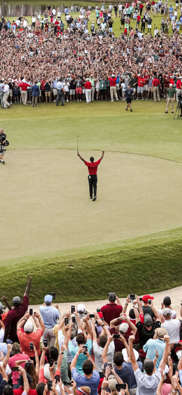 Tiger Woods On The Green Sports iPhone Wallpaper