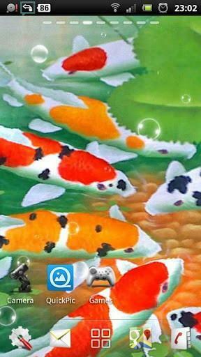Zoomen Screenshot Von Koi Live Wallpaper F R Android
