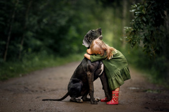 Love Cute Puppy Hug Little Girl Photography Child HD Wallpaper