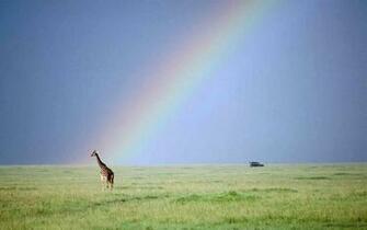 Natural Rainbow Wallpaper Image Wallpaperlepi