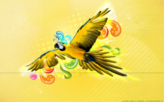 Beautiful Parrot Wallpaper For Desktop