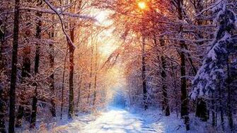 Nature Full HD Wallpaper 1080p Desktop Background