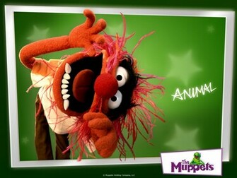 Gallery Image And Information The Muppets Animal Wallpaper