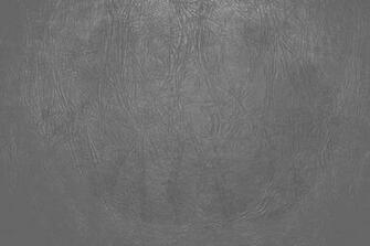 Light Gray Leather Close Up Texture Picture Photograph Photos