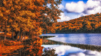 Fall Wallpaper On