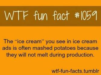 Funny Weird Facts Cool Wallpaper