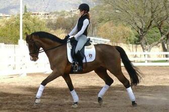 Dressage Wallpaper