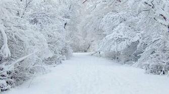 Winter High Definition Wallpaper For Desktop