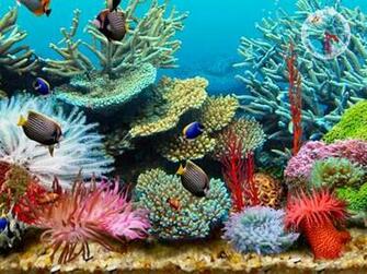 Cloudeight Premium 3d Screen Savers Fun Safe