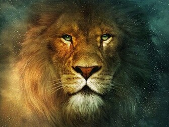 Animal Cat Leo Wallpaper