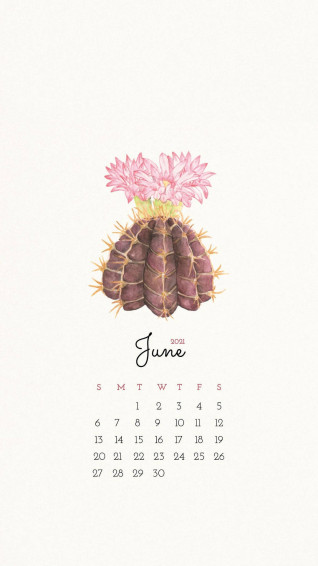 June Calendar iPhone Screen Background Wallpaper