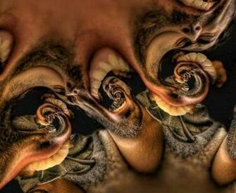 Josh Sommers Pictures Never Ends Image Org