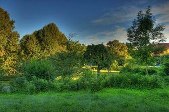 Image Germany Hessen Nature Landscape Photography Grass