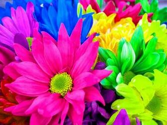 All 4u HD Wallpaper Rainbow Flowers