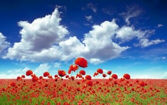HD Wallpaper Fantastic Windowsp Desktop Background Background By