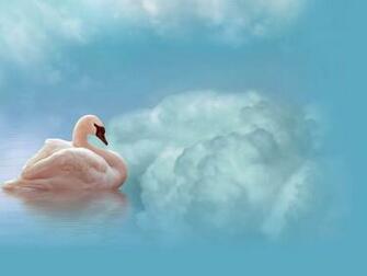 Swan Wallpaper