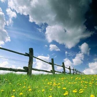 iPad Wallpaper Spring