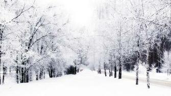 Winter Love HD Wallpaper Imgkid The Image Kid