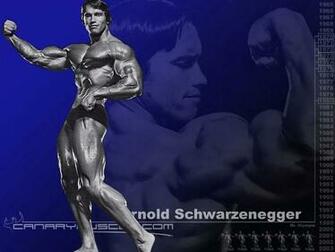 Arnold Schwarzenegger Mr Olympia Bodybuilding Wallpaper Resolution