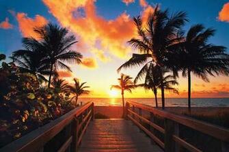 Tropical Sunrise Wallpaper Vorrei Essere Qui Hollywood Beach