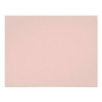 Light Pink Solid Color Background Blush Peachy