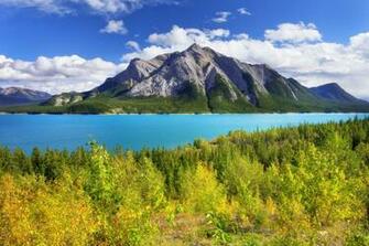 Beautiful Nature Scene Abraham Lake Alberta Scenery And
