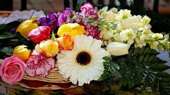 Summer Flowers Wallpaper