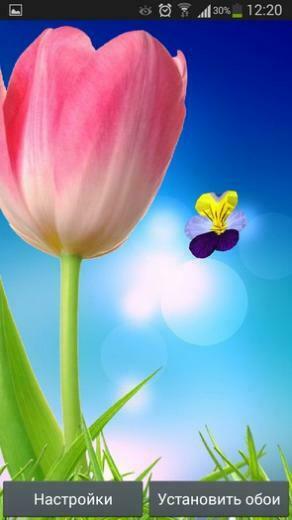 3d Flowers Live Wallpaper Galaxy S5