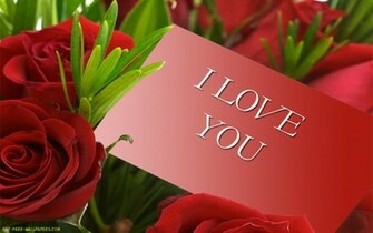 Red Roses HD Wallpaper Flowers