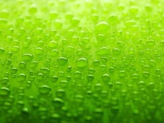 Pretty Green Wallpaper