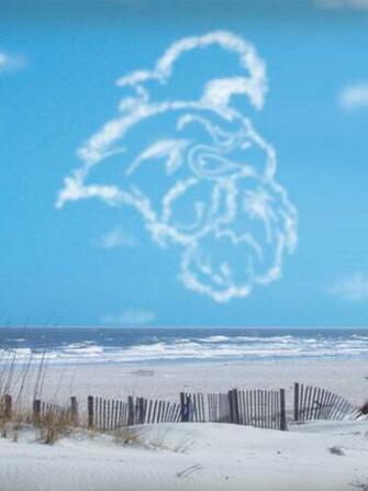 Coastal Wallpaper Carolina University