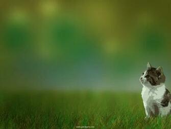 Cute Animals Wallpaper HD In Imageci