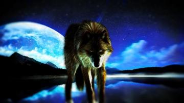 Wolf With Moon Wallpaper By Hardii