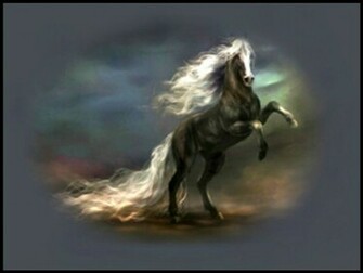 Beautiful Horse Wallpaper