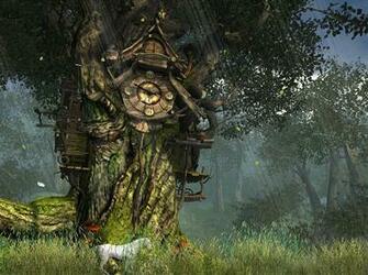 Imagine Yourself In Fairy Tale Land Under The Canopy Of An Ancient