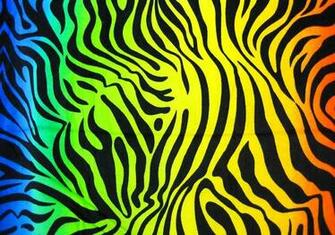 Wallpaper Zebra Stripes White Tiger Stripe Pictures
