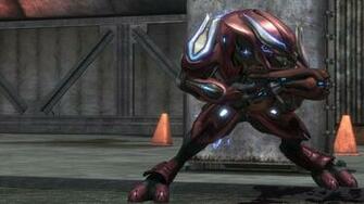 Halo Elite Zealot Wallpaper Image Pictures Becuo