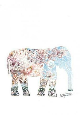Elephant Background