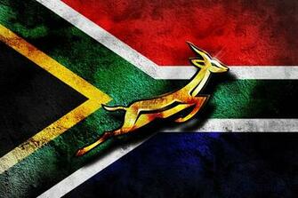 South African Flag With A Rugby Logo
