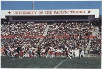 Stadium Crowd Background Stagg Photo Gallery